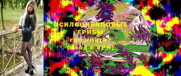 прущая мука Алзамай