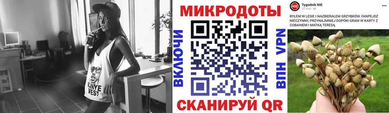 это клад  Ревда  Галлюциногенные грибы мицелий 
